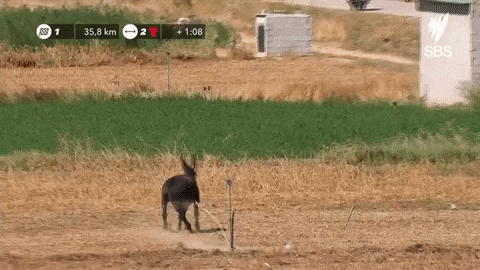 Vuelta, La Vuelta