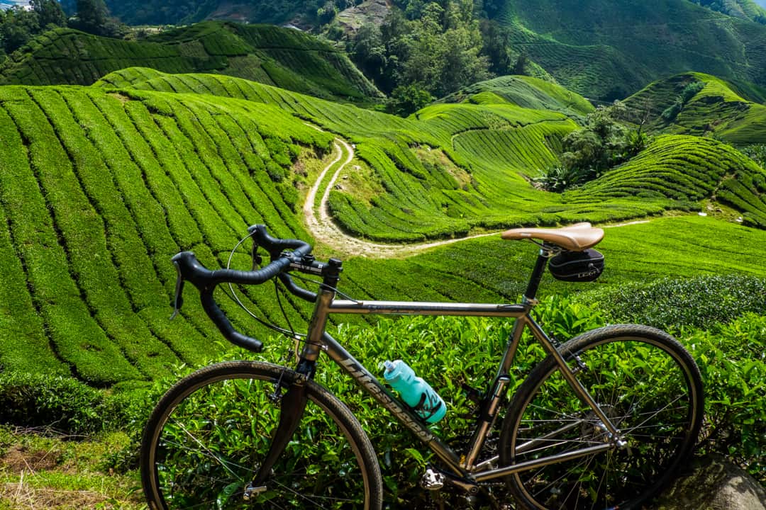 Cameron Highlands, Malaysia