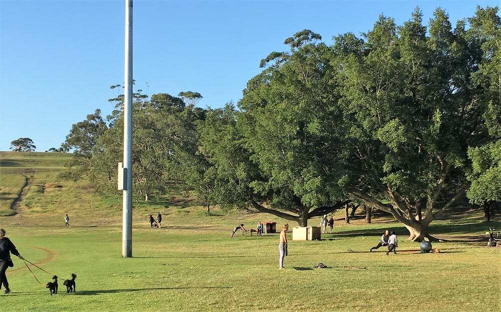 Exercising in Moore Park, Sydney