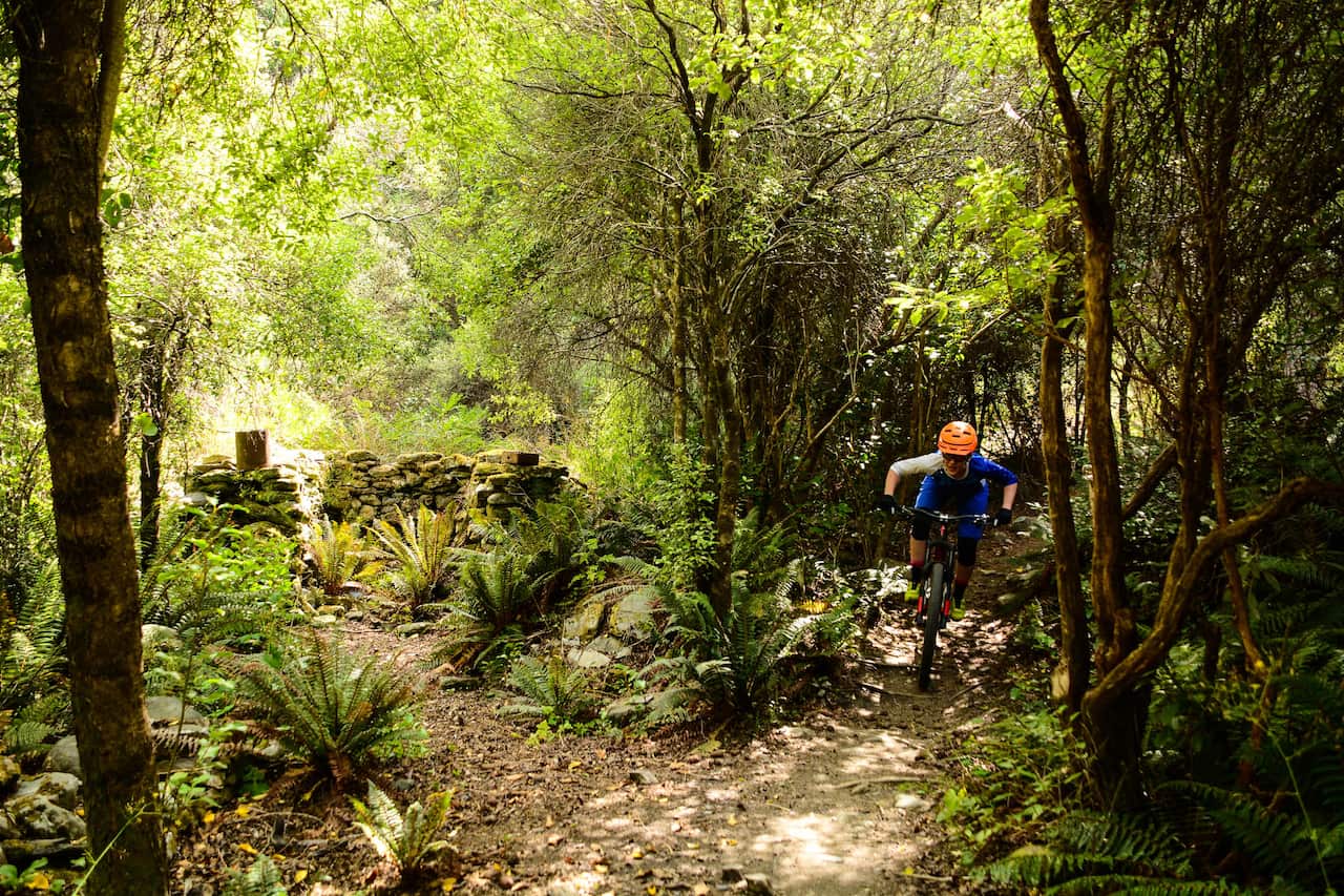 There's more than just the trail to take in on Gold Digger (Gaye Camm)