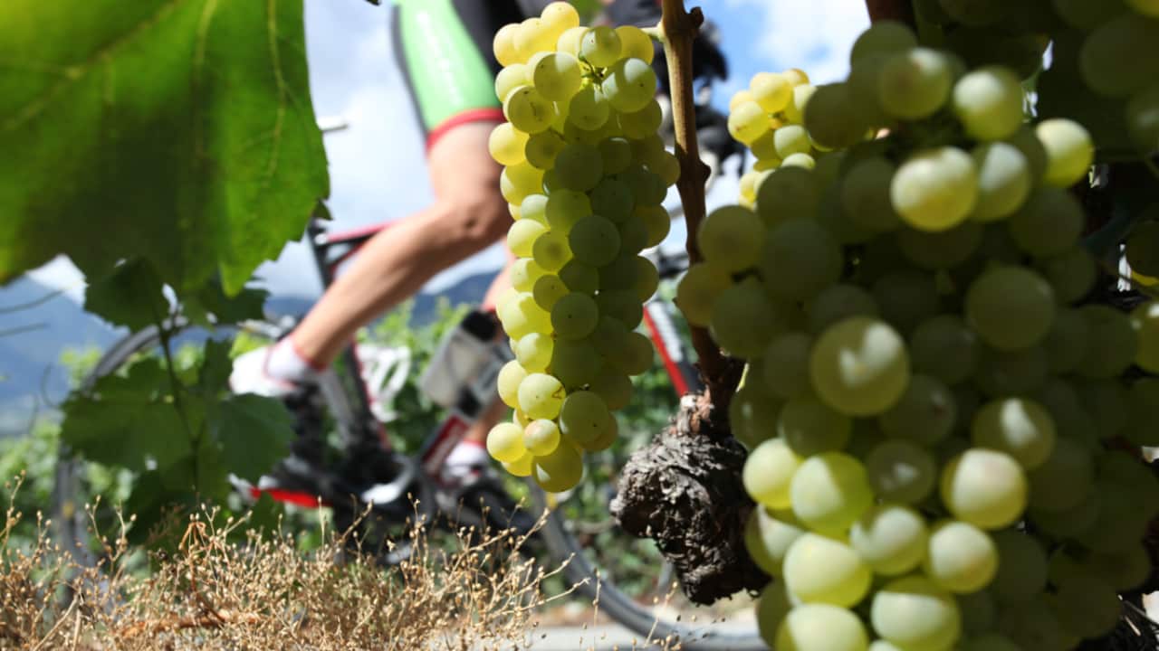 Reaping the rewards of the region