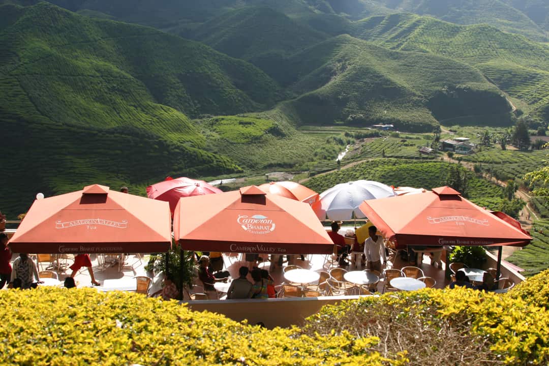 Cameron Highlands, Malaysia