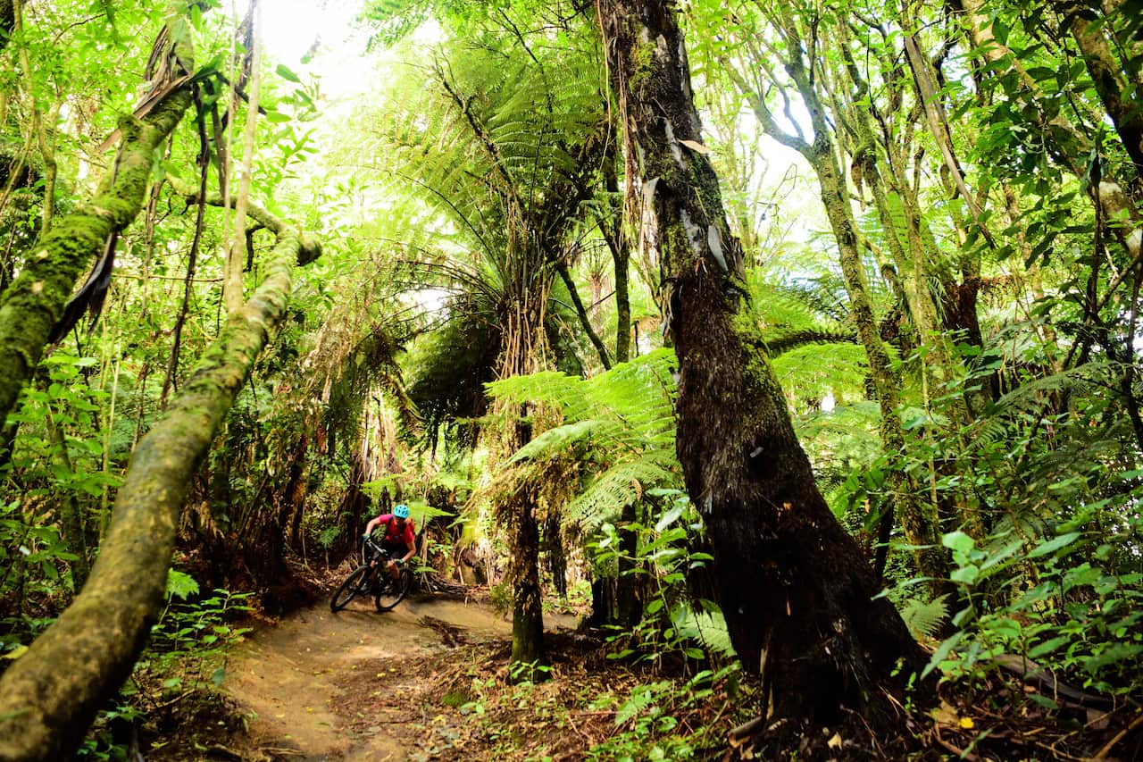 Rotorua mountain biking