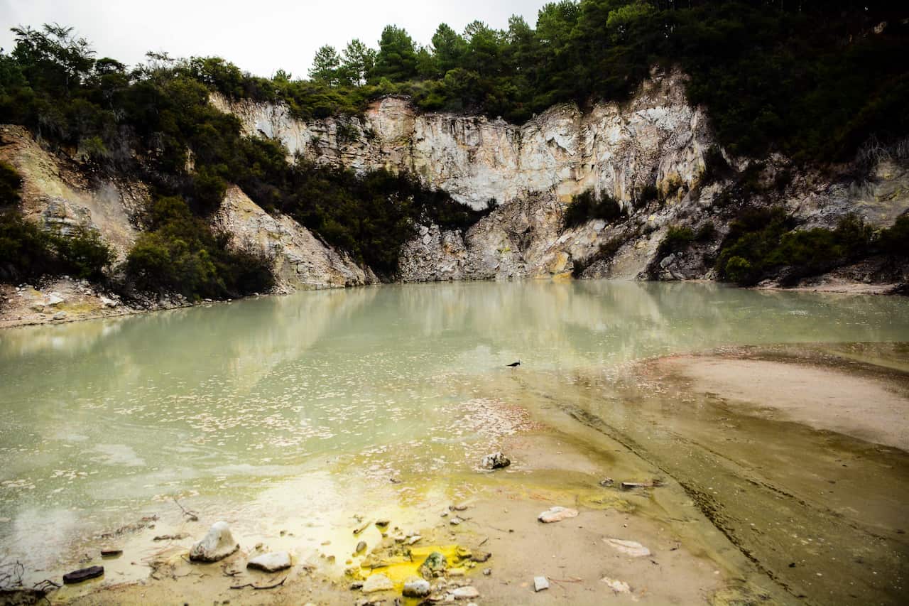 Rotorua Mountain Biking off the bike