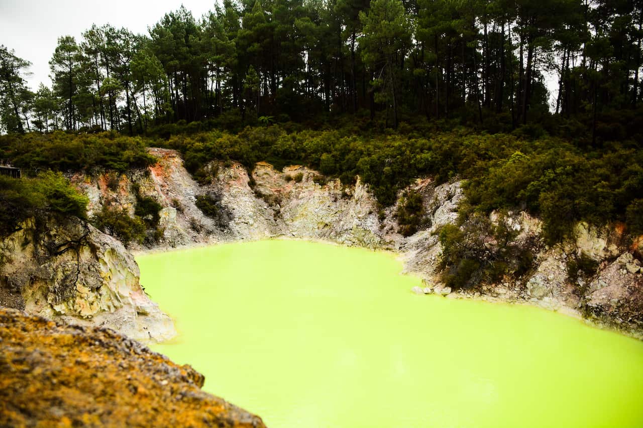 Rotorua Mountain Biking off the bike