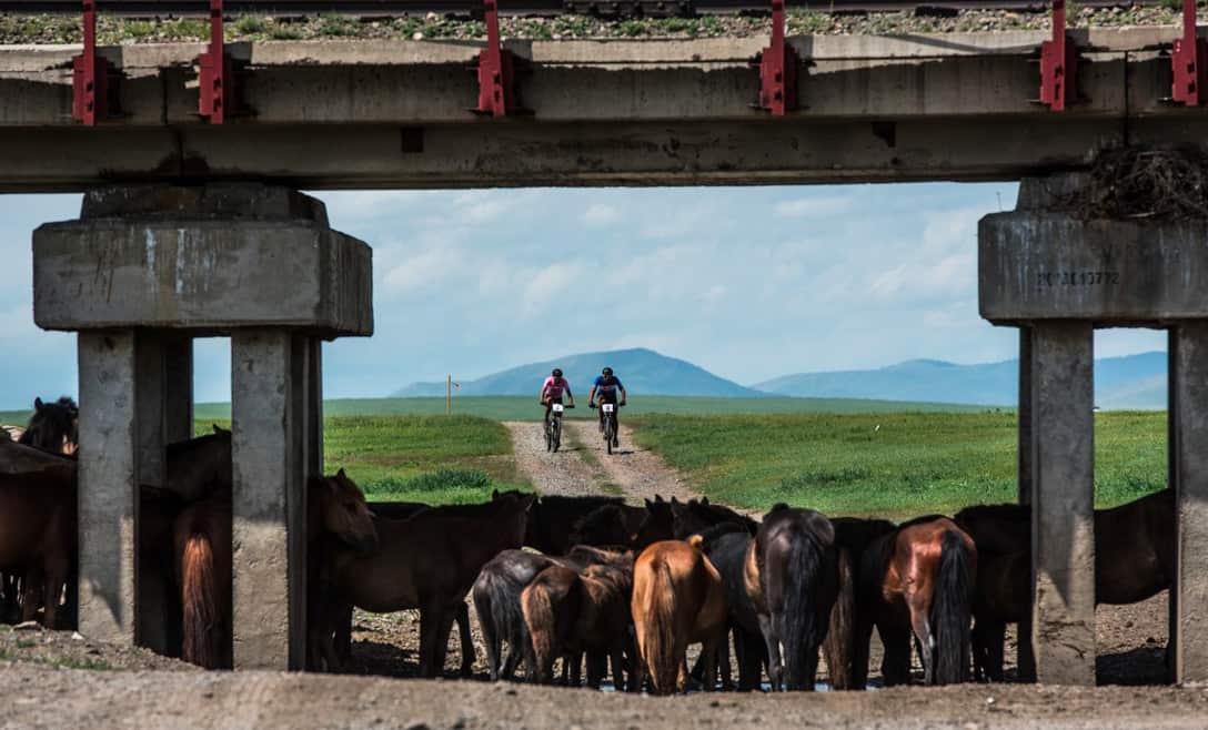 MTB, Mongolia, Mongolia Bike Challenge
