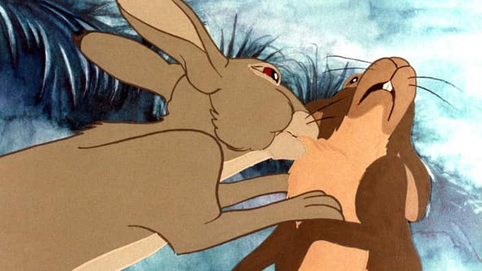 Watership_704.jpg