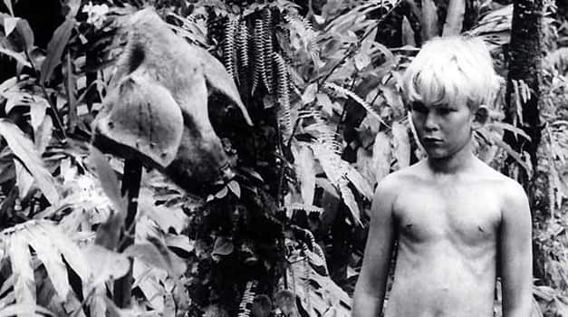 Lord of the flies_maxed_189138289