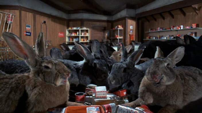 15 Weird and Wonderful Rabbits in Movies | SBS What's On