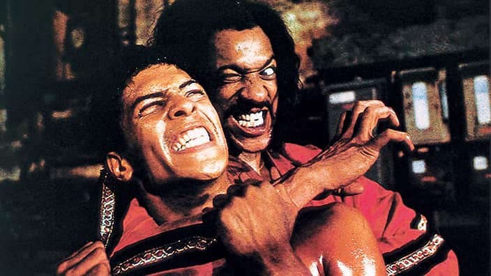 The Last Dragon