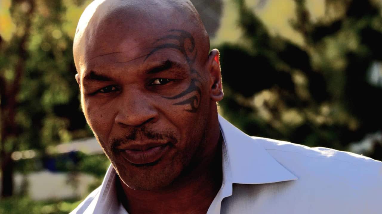 SBS On Demand: Fighters