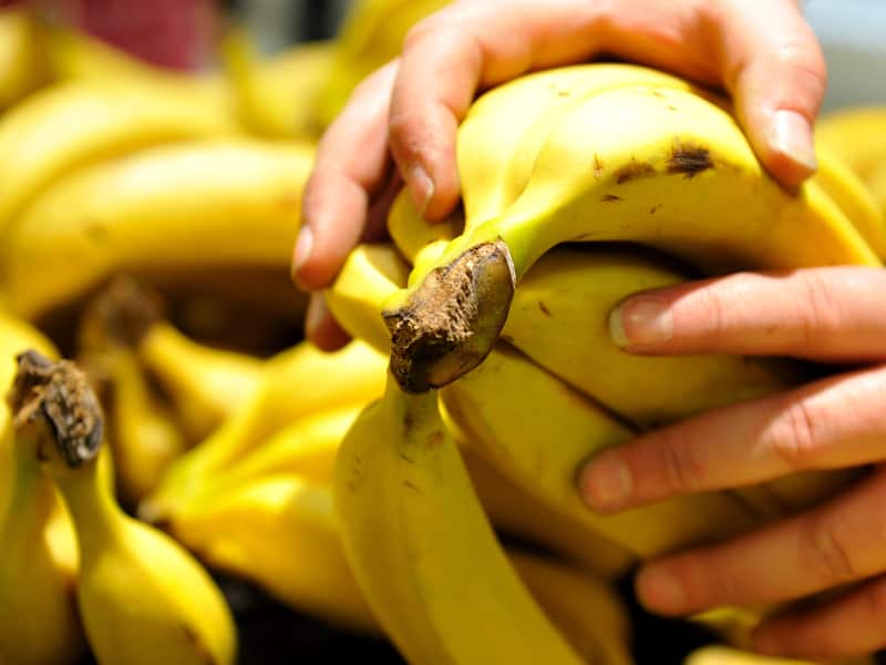 Bananas