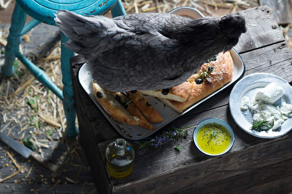 Focaccia