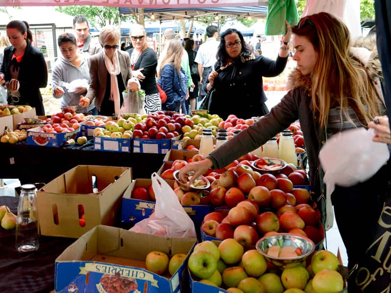 Growers markets offer more diversity and freshness than supermarket aisles.