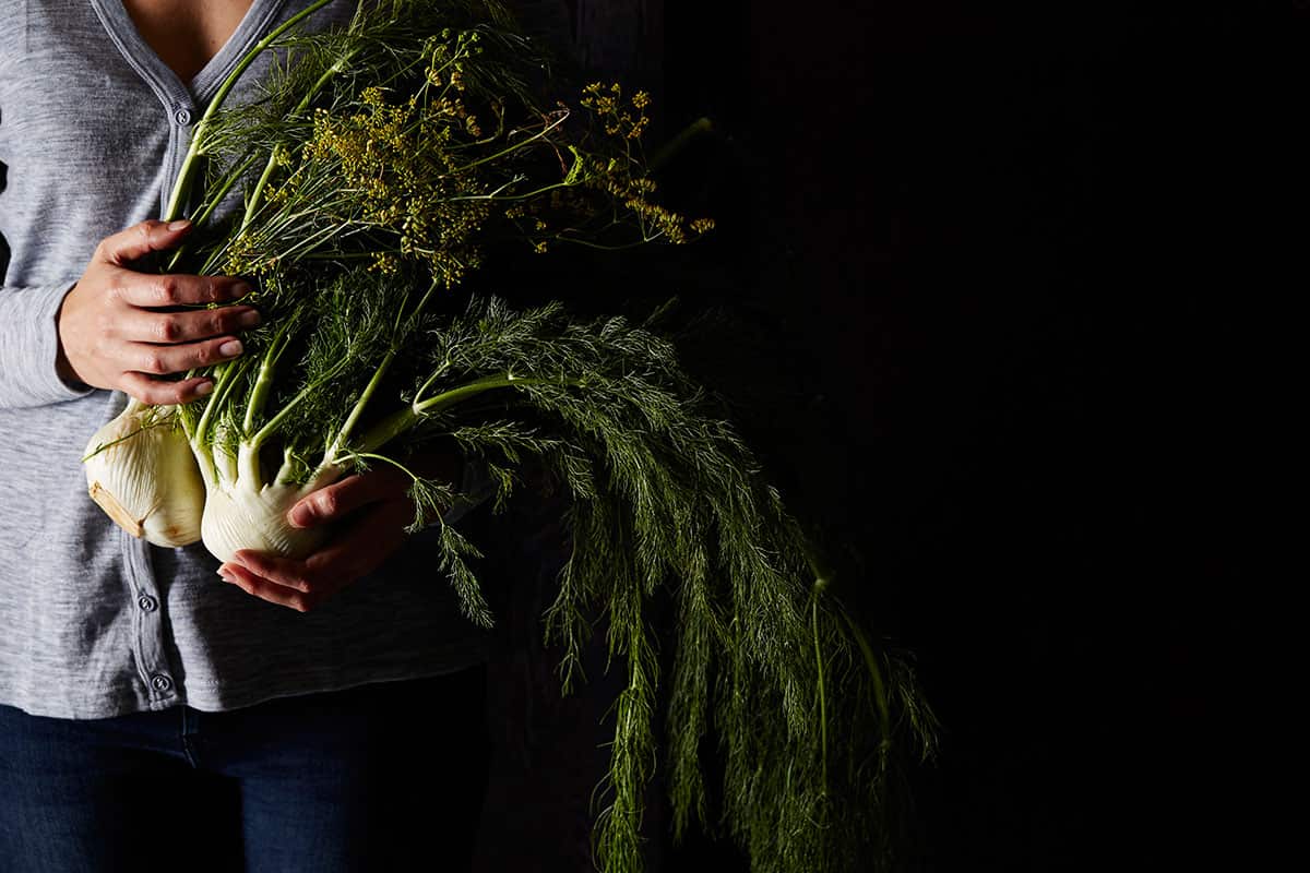 Fennel