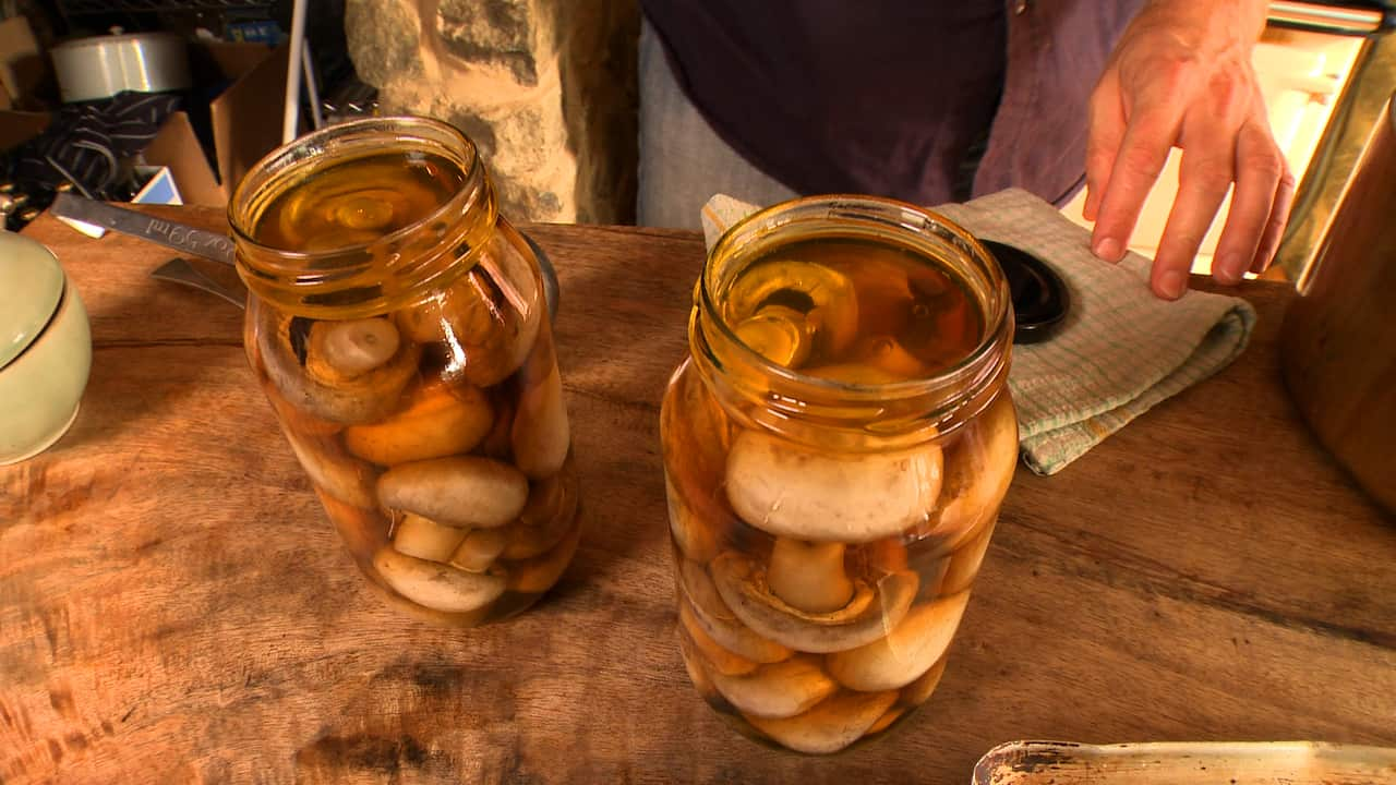 Preserved mushrooms in vinegar