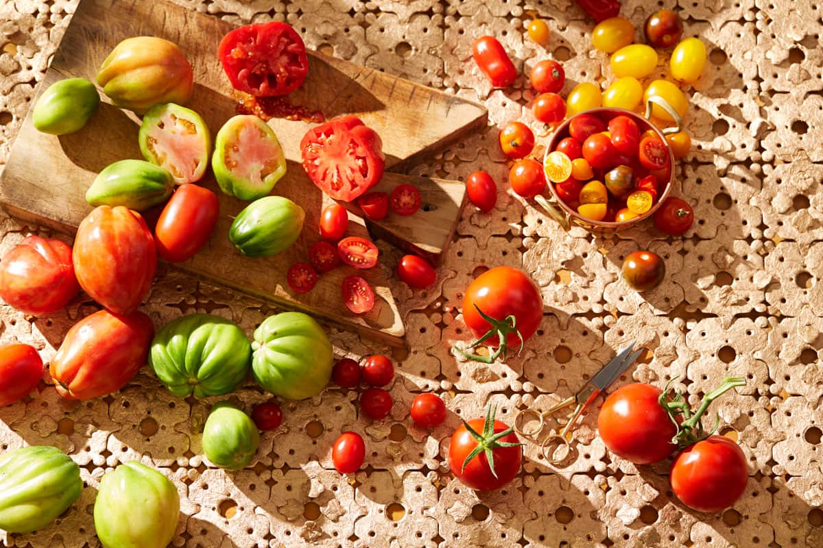 Tomatoes
