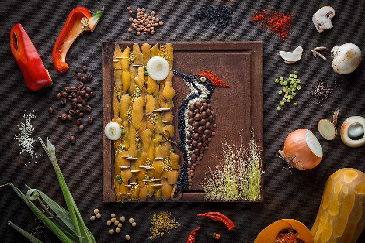 AKJFoodstyling_Woodpecker