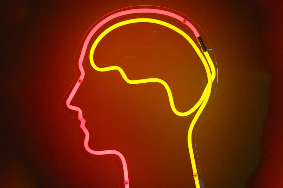 Brain