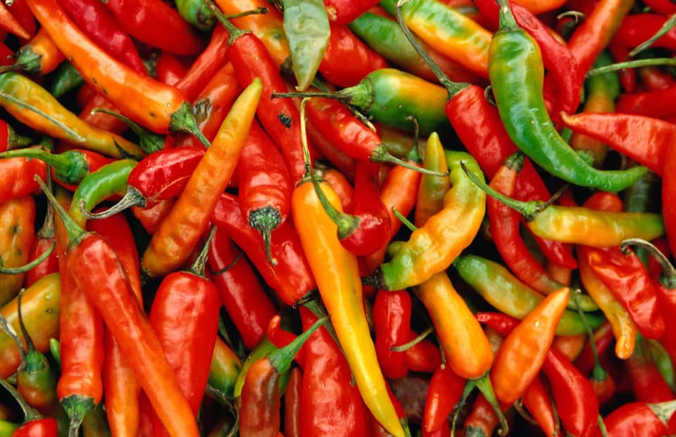 Make your own chilli oil and never look back SBS Food