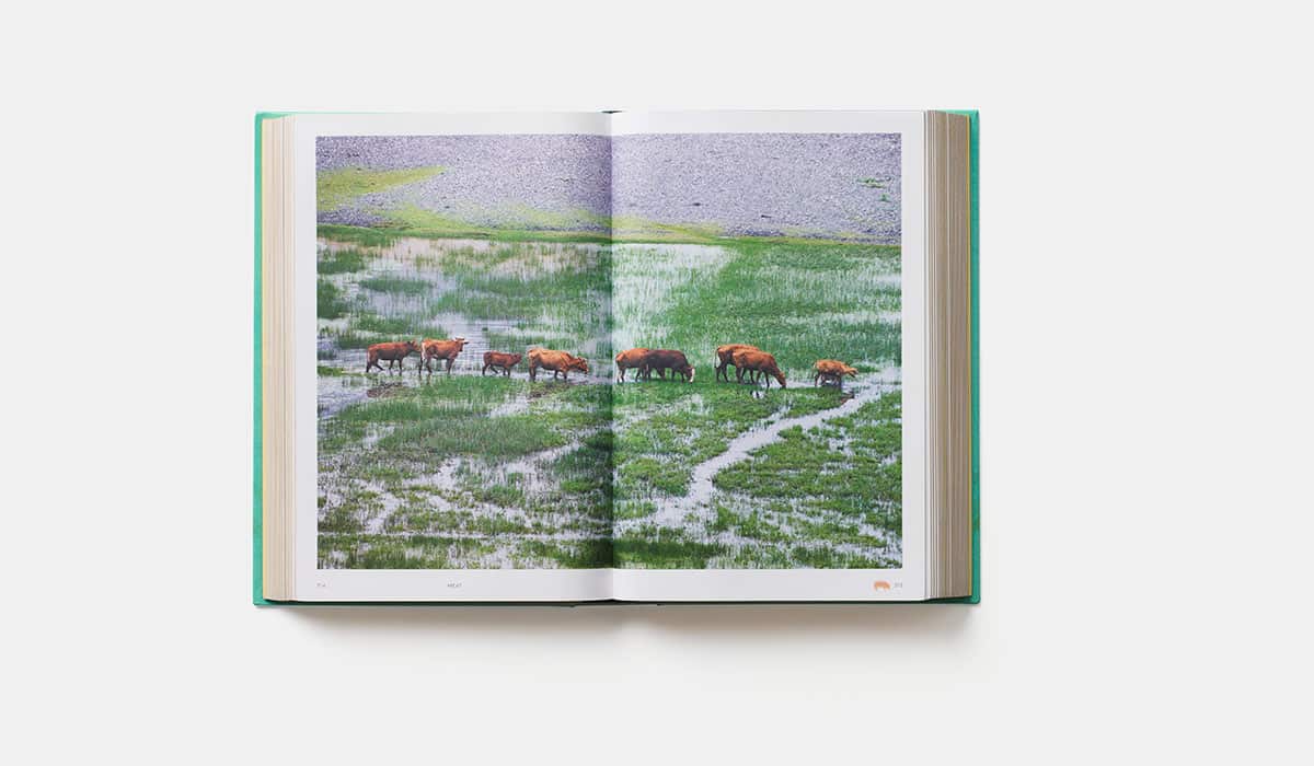 China: The Cookbook