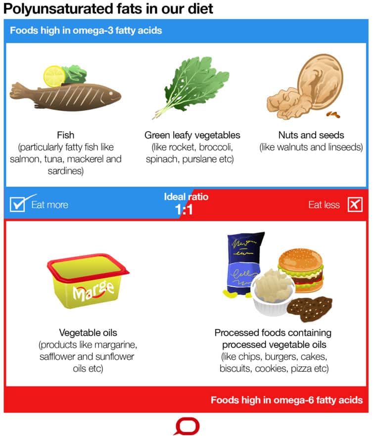 Polyunsaturated fats graphic
