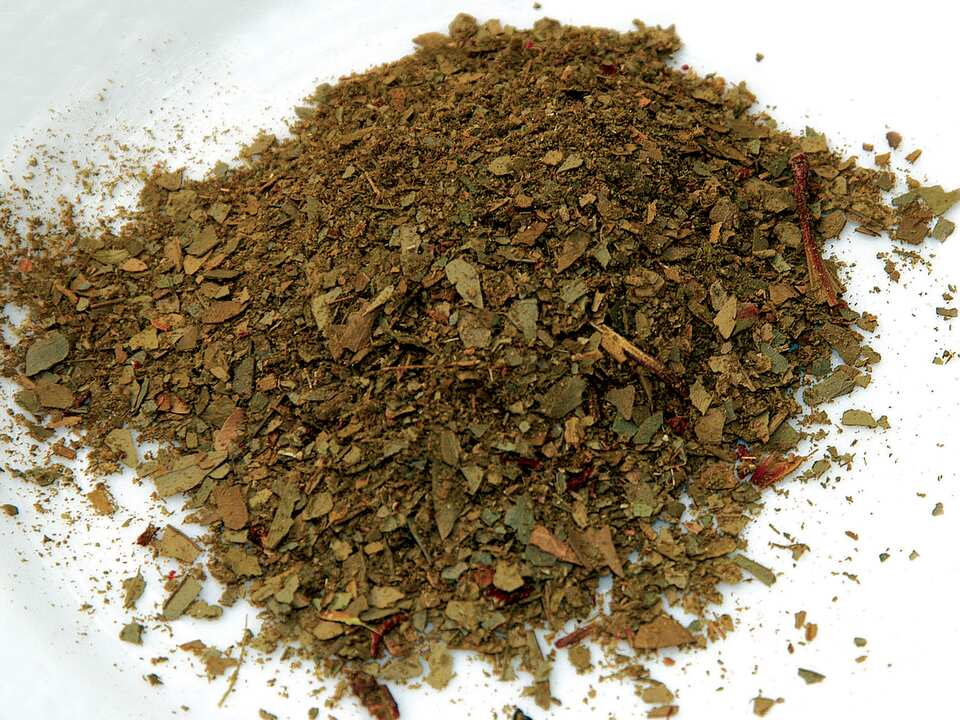 Is mountain pepper the ultimate Indigenous superfood? | SBS Food