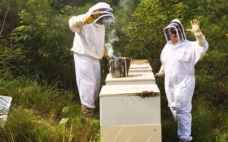 Deborah Batchelor and her father John at Two Busy Bees Honey