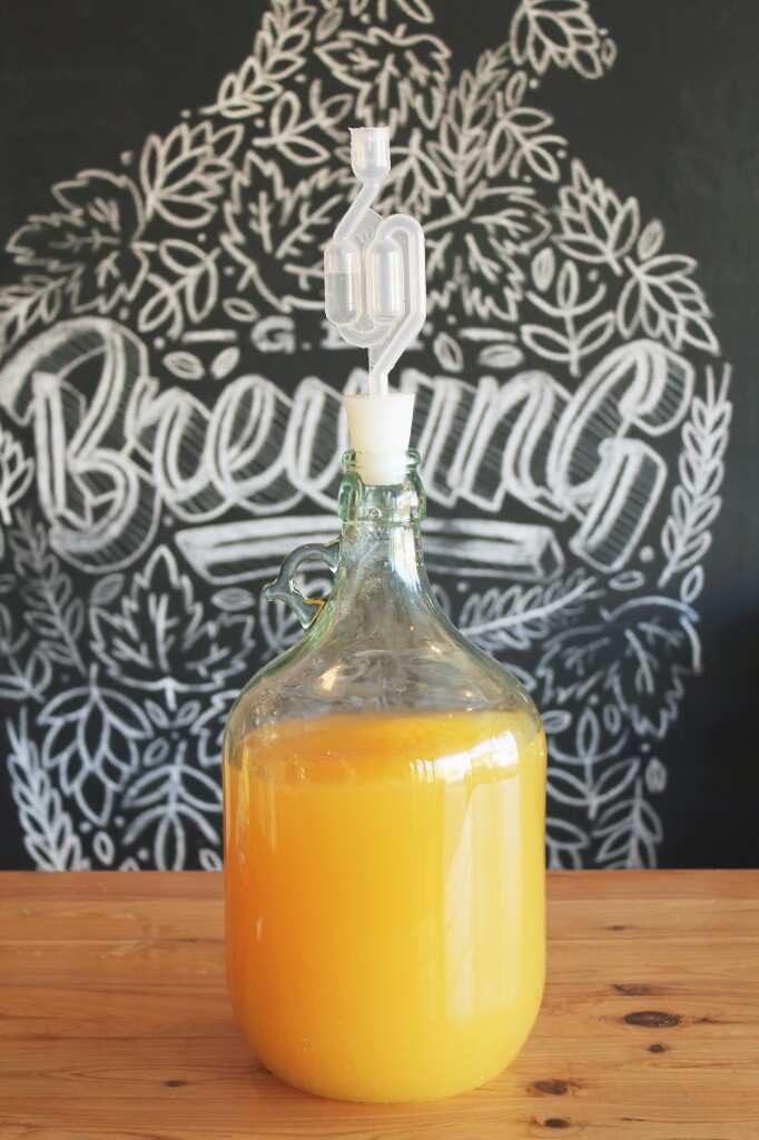 How to brew your own batch of cider at home SBS Food