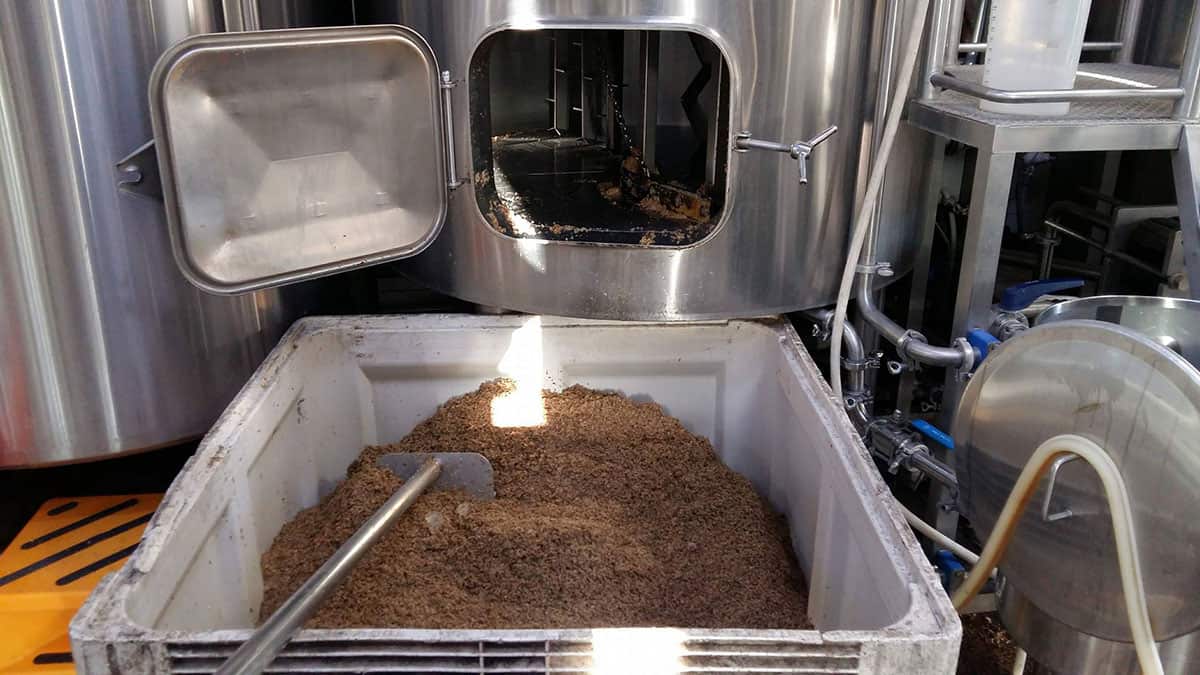 Beers from New Zealand will feature in a tap takeover at The DOG in Randwick.