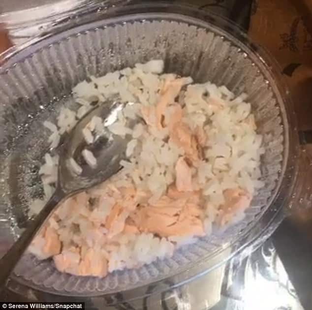 dog food