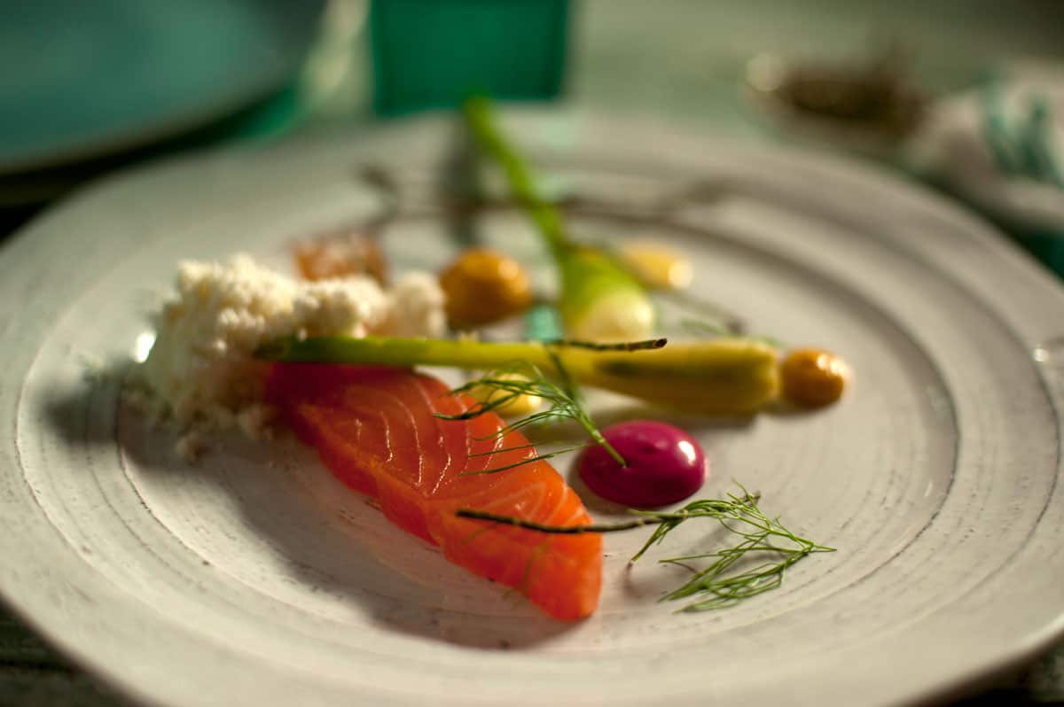 ep3_curedsalmonsalt-vinegarjellyfennel4.jpg