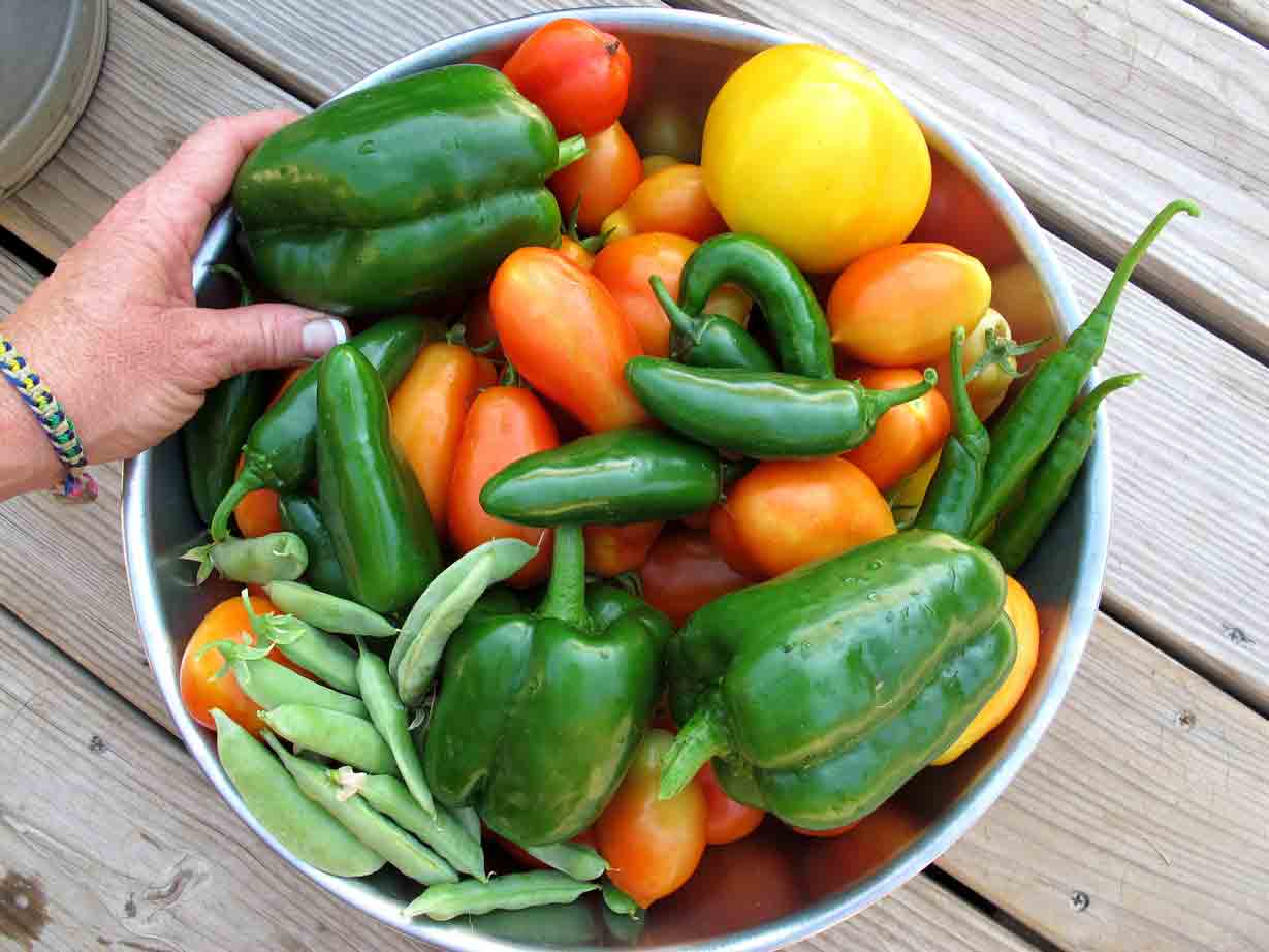 Bowl of fresh vegetables