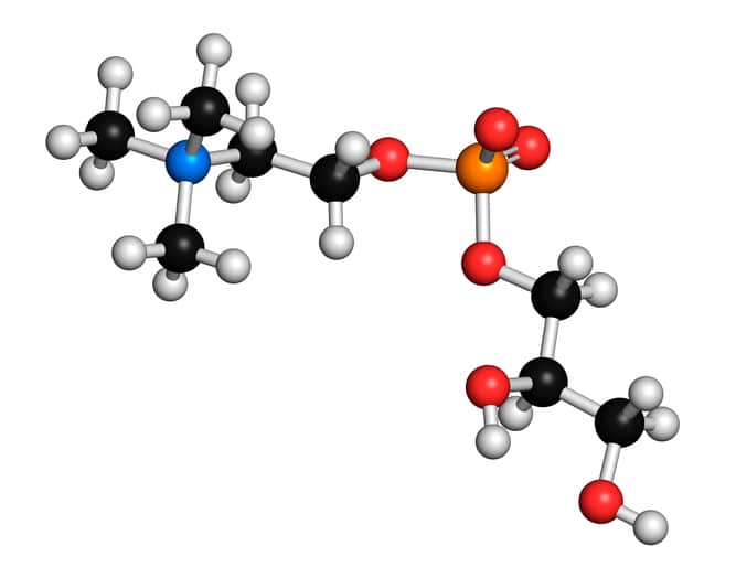 Alpha-GPC molecule