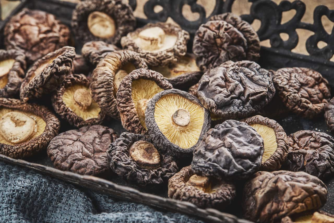 Medicinal mushrooms like shitake mushrooms (pictured) have been used as a dietary supplement or medicinal food in China for over 2,000 years.