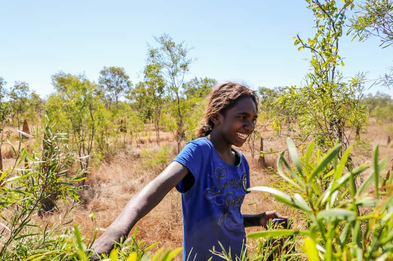 Harvesing gulbarn on Alawa Country.