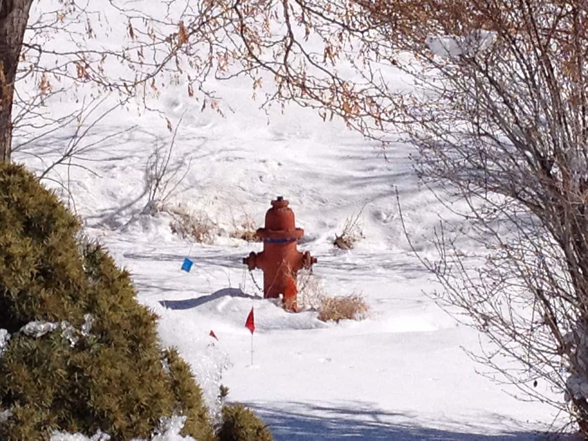 Hydrant