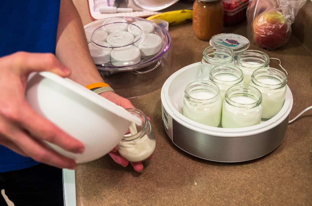 Making yoghurt