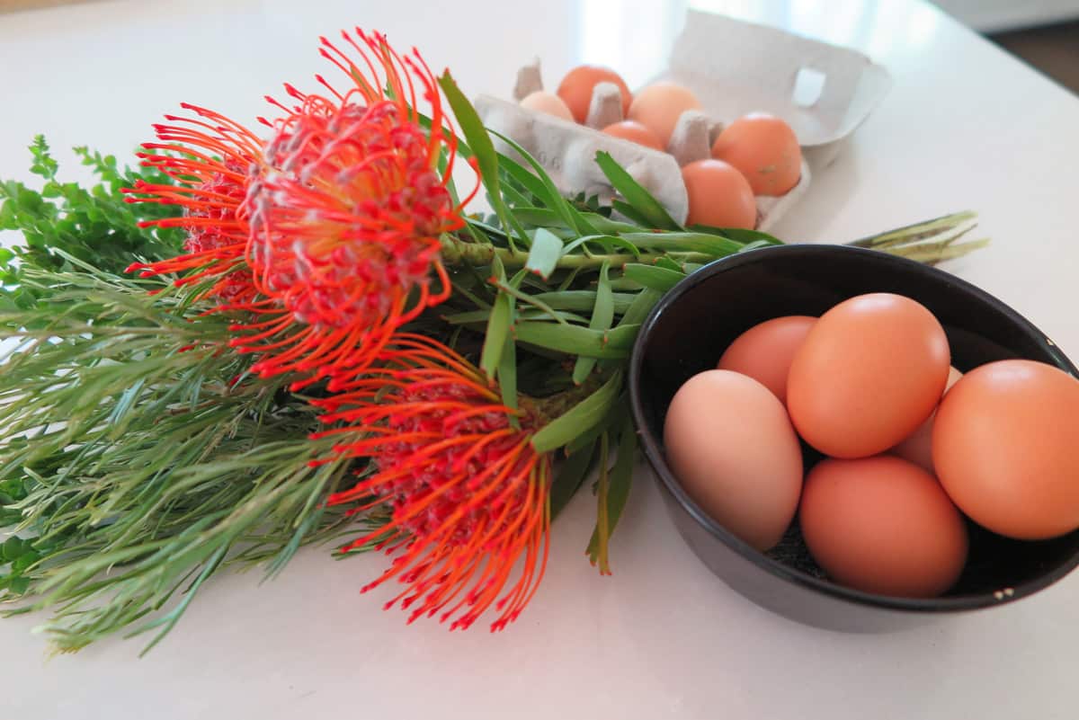 Crop swap bounty: a dozen fresh backyard eggs and a native flower bouquet.