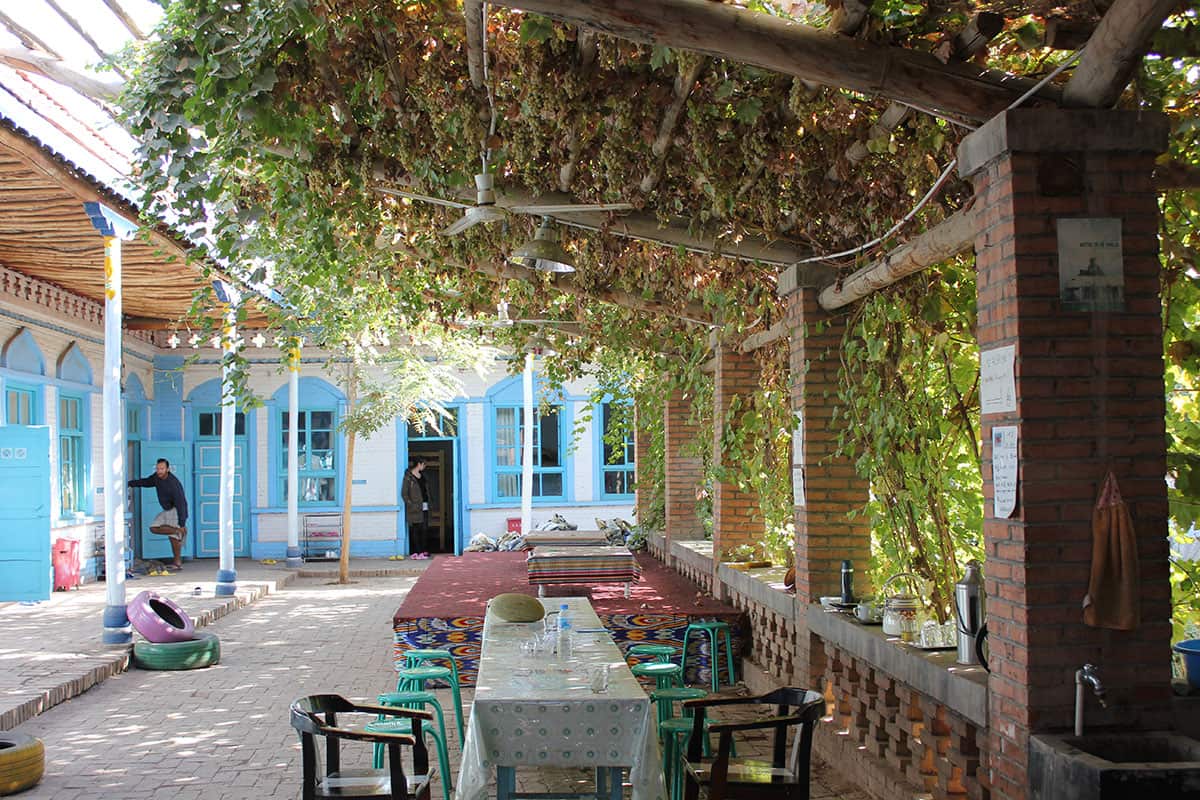 Grapes in Turpan