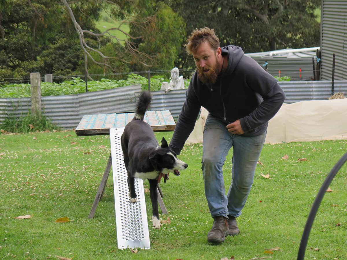 Paul and digger training