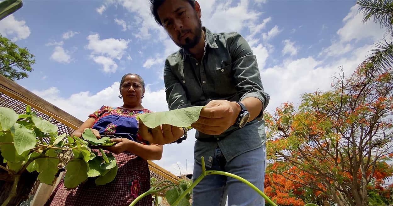 Carina Santiago and José Jiménez with Holy Herb