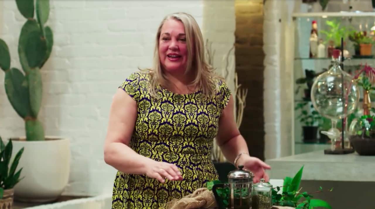 medicine or myth, Dijana Cane