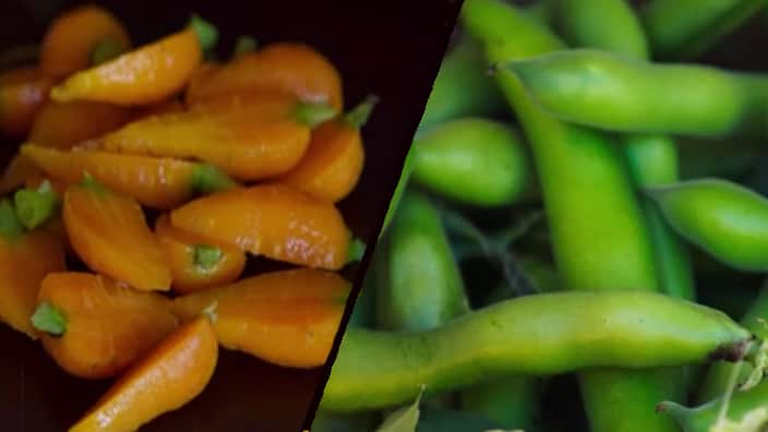 Carrots beans