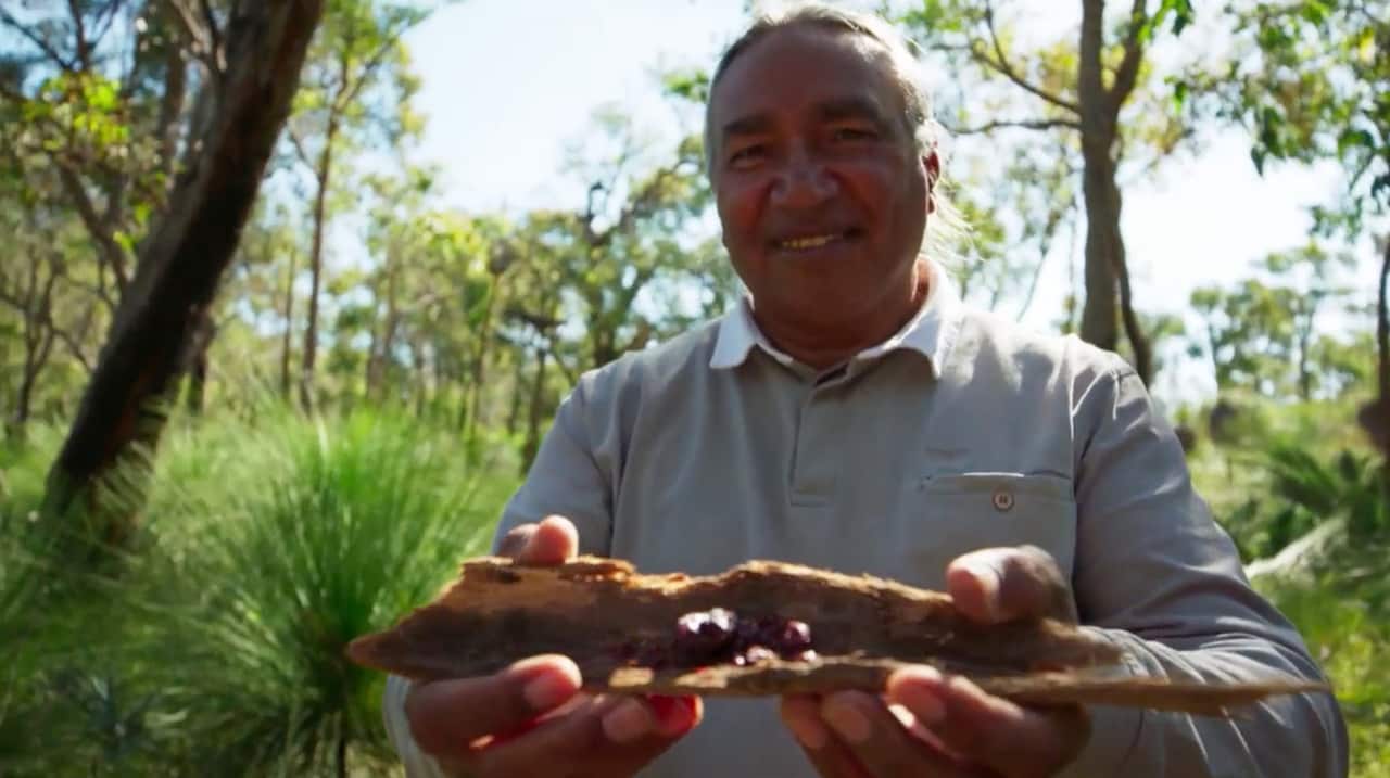 medicine or myth, George Walley