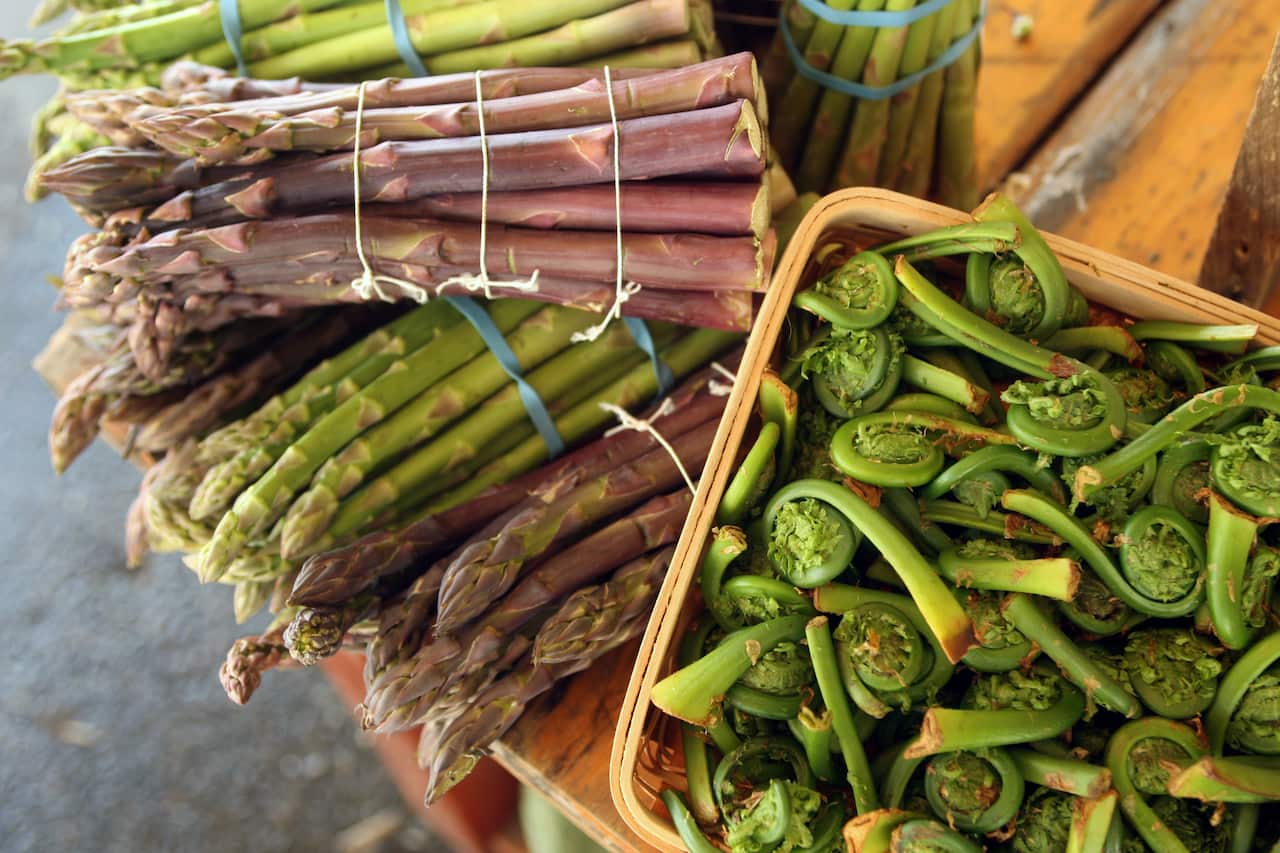 Fiddleheads