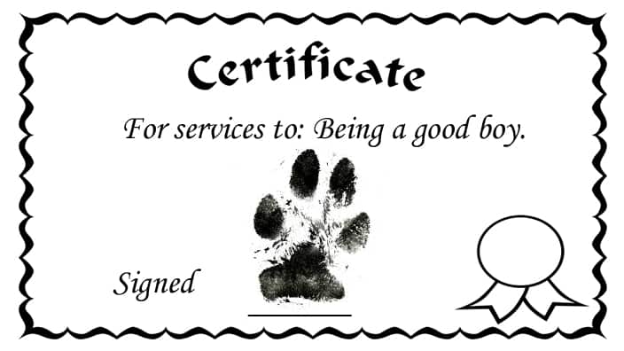 Dog print