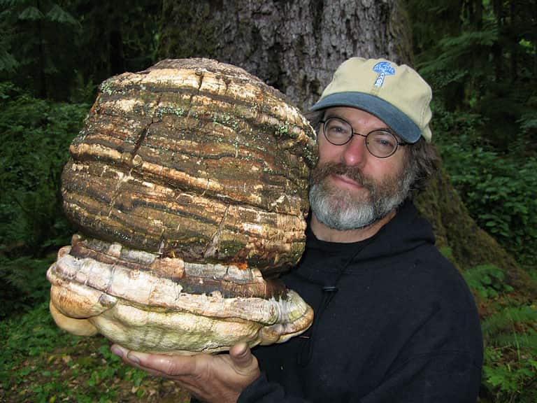 Mushroom
