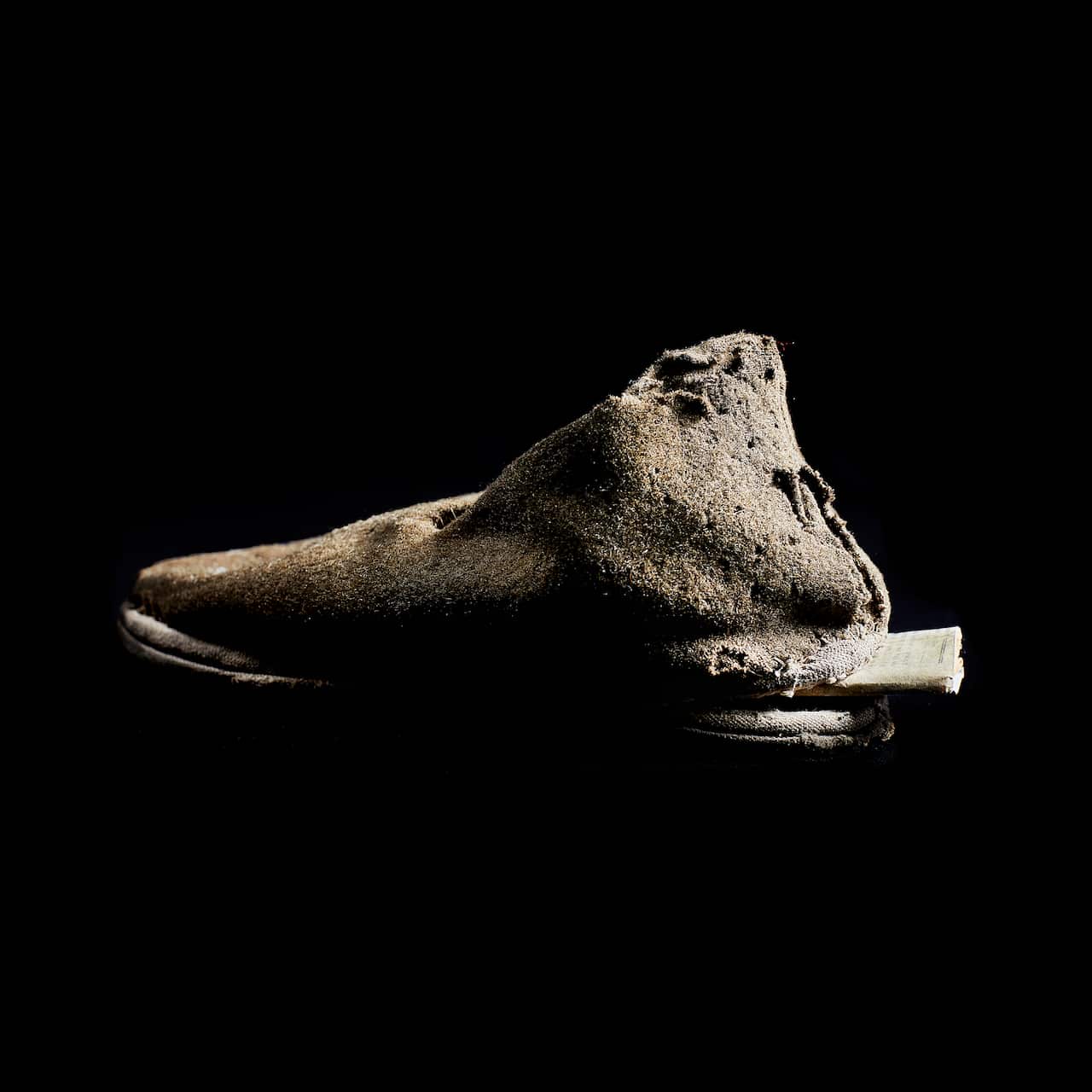 Shoe