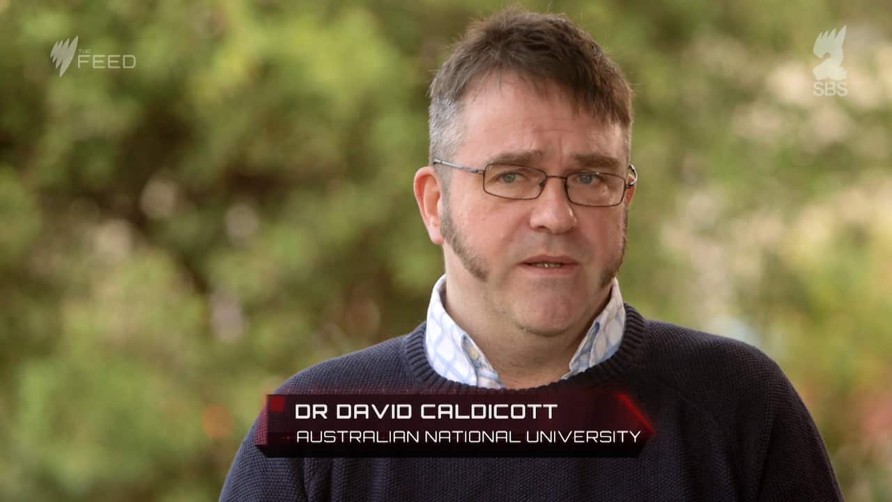 David